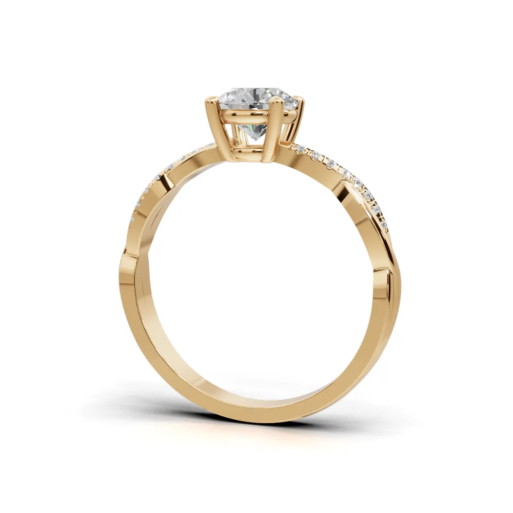 snapshot (10)